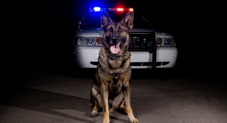 Police K9 Case Law And Legal Guide