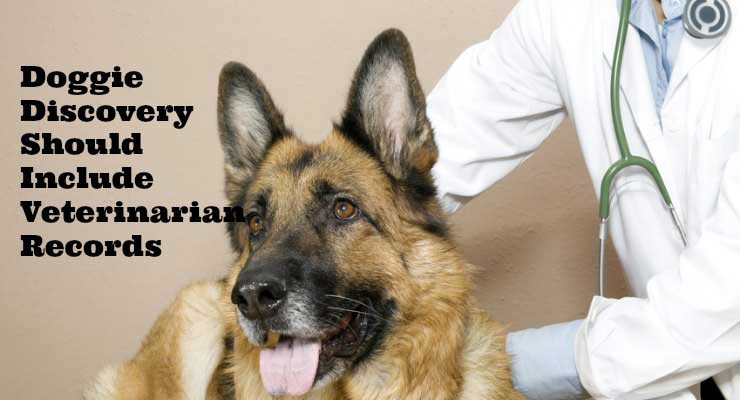 police dog discovery dog veternarian records